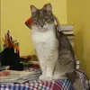 Отзыв от Татьяна Кожевникова